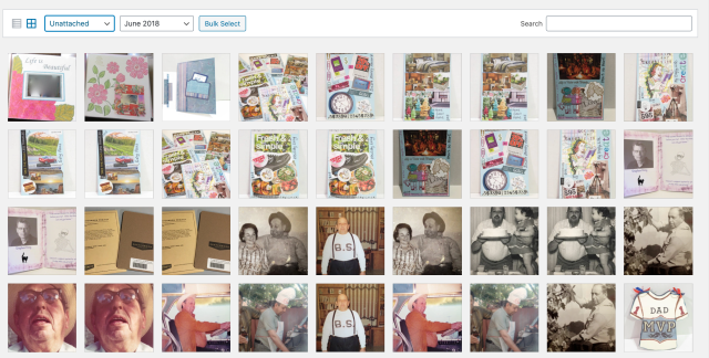 Screen Shot 2020-07-05 at 11.06.50 AM.png